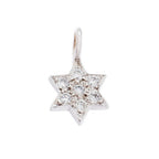 Jewish Star Charm
