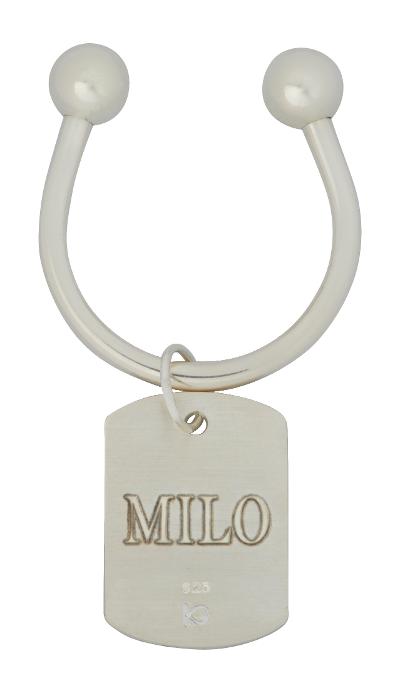 Classic Medium  Photo Dog Tag Pendant